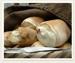 長岡京たけのこ