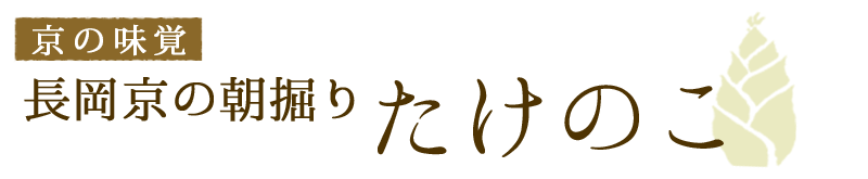 長岡京朝掘りたけのこ